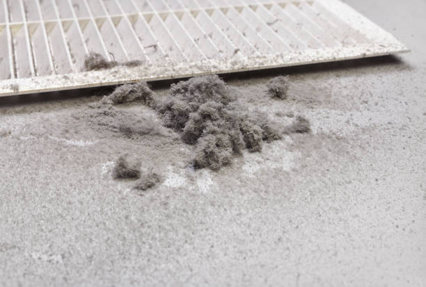 Best Local Air Duct Cleaning Services  in Athens, WV