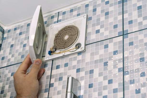 Best Air Duct Mold Removal  in Athens, WV